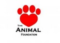 Animal Foundation image 7