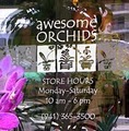 Awesome Orchids logo