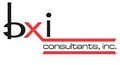 BXI Consultants Inc. logo