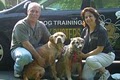 Bark Busters Home Dog Training image 1