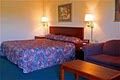 Best Western Pennyrile Inn image 6
