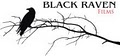 Black Raven Films, LLC logo