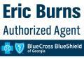 Blue Cross Blue Shield of Georgia Health Insurance logo
