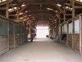 Blue Point Stables image 3