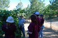 California Wine University, Inc. image 3