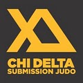 Chi Delta Submission Judo image 1