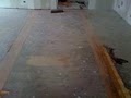 Chicago Hardwood Flooring (WPC-CO.) image 7