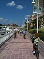 City Bike Tampa image 10