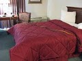 Comfort Inn & Suites image 1