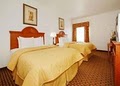 Comfort Inn image 6