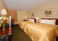 Comfort Inn image 6