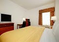 Comfort Inn image 8