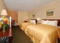 Comfort Inn image 10