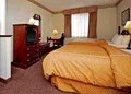 Comfort Suites image 6