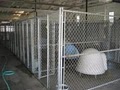 Conway Kennel image 4