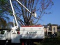 Corbo Landscaping Inc image 1