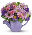Country Florist of Yorktown Inc. image 2