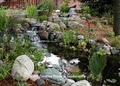 Creative Ponds & Landscapes image 5