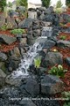 Creative Ponds & Landscapes image 9
