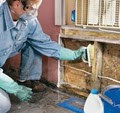 DC Mold Remediation Contractors image 1