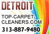 Detroit Carpet Cleaning (MI) Top Upholstery and Carpet Cleaners logo