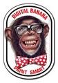 Digital Banana image 2
