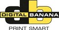 Digital Banana image 3