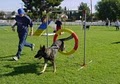 Dog Services Unlimited image 9