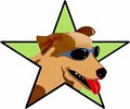 Dog Stars Training logo