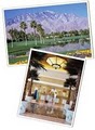 Doral Desert Princess Resort image 4