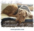 Dot for Spot-Professional Pet Sitter image 1