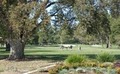 El Macero Country Club image 2