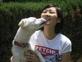 Fetch! Pet Care of NW San Gabriel Valley image 2