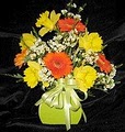 Field Florist Ltd logo