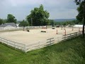 Great Scott Horse Farm and Country Kennels image 2