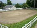 Great Scott Horse Farm and Country Kennels image 4