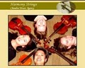 HARMONY STRINGS: Professional String Quartet, Trio, & Duo! image 2