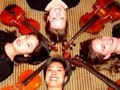 HARMONY STRINGS: Professional String Quartet, Trio, & Duo! logo