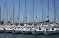 Harbor Sailboats image 1