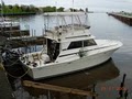 Hi-Tech Sport Fishing Charters image 4