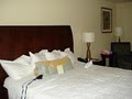 Hilton Garden Inn Warner Robins image 6