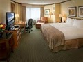 Hilton Minneapolis/St. Paul Airport Mall of America image 9