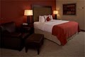 Holiday Inn Hotel Minneapolis-Metrodome image 3