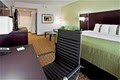 Holiday Inn Hotel Sarasota-Airport image 4