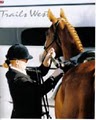 HolidayHorseCare.com image 3