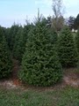 Hunt 4 Your Fir Christmas Tree Farm image 3