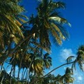 Kauai Properties Vacation Rentals image 1