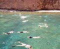 Kauai Sea Tours image 1