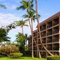 Kihei Akahi image 4
