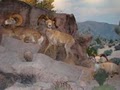 Las Vegas Natural History Museum image 8